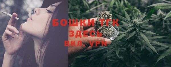 прущие грибы Ладушкин