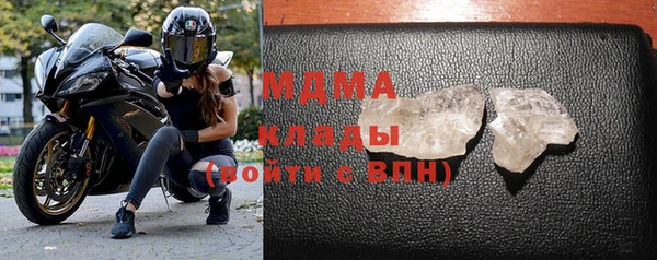 прущие грибы Ладушкин
