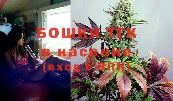 прущие грибы Ладушкин