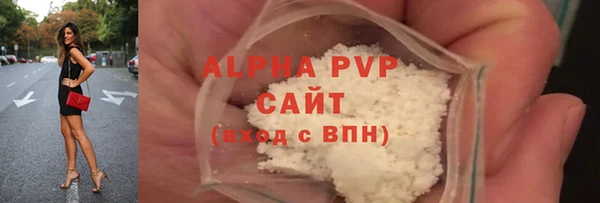 прущие грибы Ладушкин