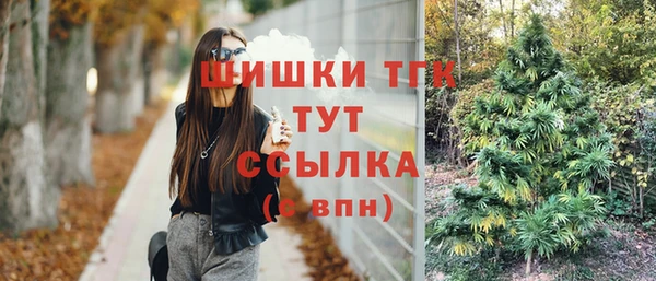 прущие грибы Ладушкин