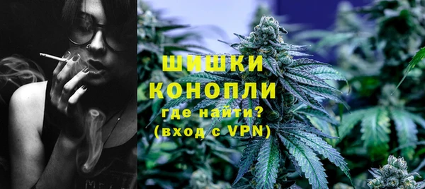 прущие грибы Ладушкин
